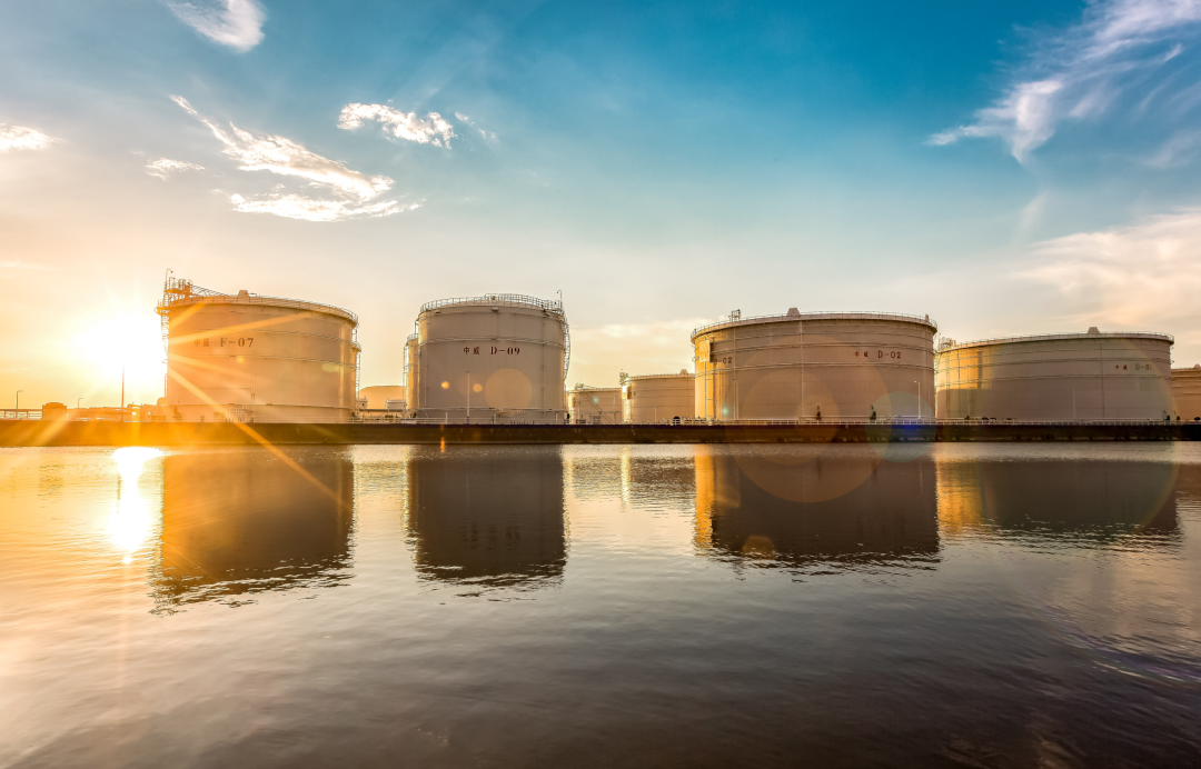 1665023512695059843.png 640.png